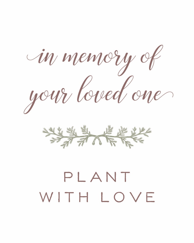 Your Loved One Gift Tree Memorial Gift Tree Sympathy Gift Tree Plant in Memory of Your Loved One image 2