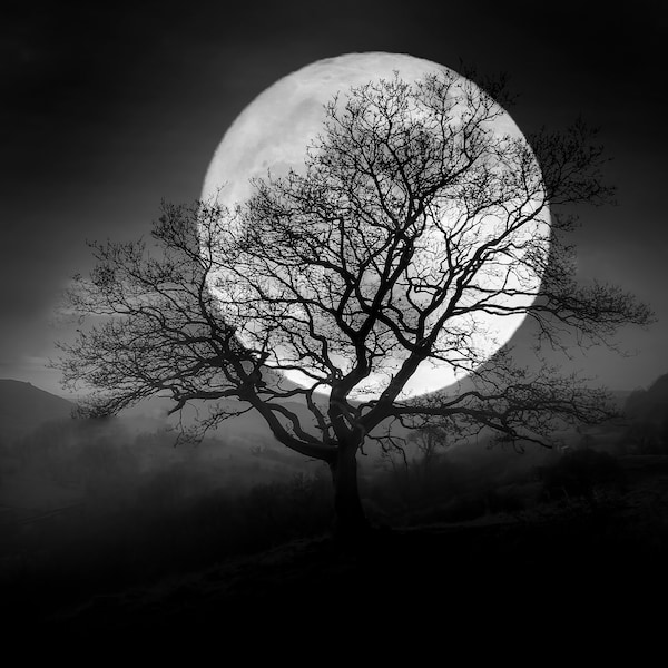 Harvest Moon I ~ Stunning Full Moon Photo, Dramatic Halloween Image, Great Gift, National Geographic Quality Photo, Harv Greenberg Photos