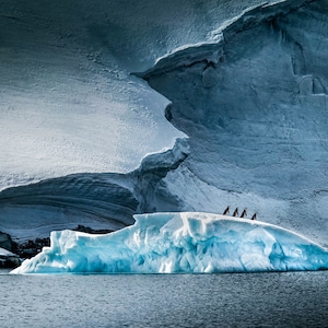 LASTING IMPRESSIONS ~ Stunning Antarctica Penguin Photo, Brilliant Iceberg Image, Great Gift, Home Office Decor, Harv Greenberg Photography