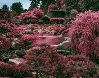 Zen Gardens I ~ Prachtige Japanse tuinen foto in de Huntington, Nat Geo kwaliteit print, geweldig cadeau, Harv Greenberg foto's