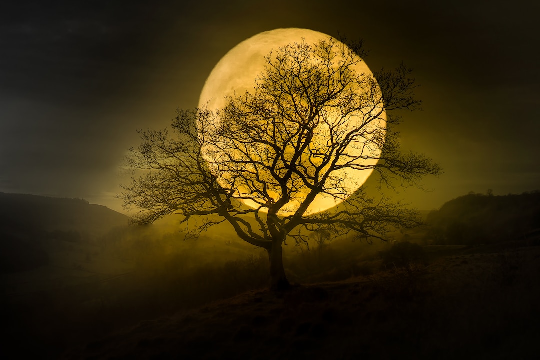Harvest Moon Photo Print: Dramatic Celestial Wall Art - Etsy
