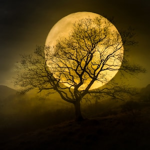 Harvest Moon II ~ Stunning Full Moon Photo, Dramatic Halloween Image, Great Gift, National Geographic Quality Photo, Harv Greenberg Photos