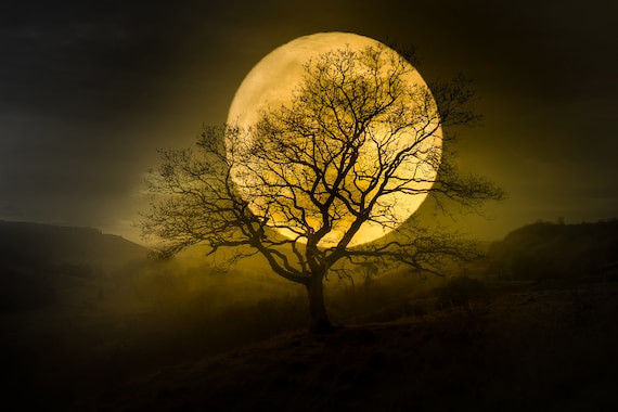 Harvest Moon Photo Print: Dramatic Celestial Wall Art - Etsy