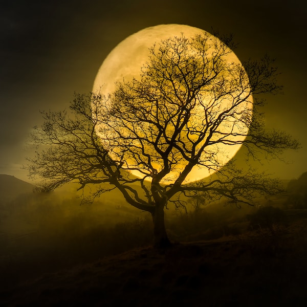 Harvest Moon II ~ Stunning Full Moon Photo, Dramatic Halloween Image, Great Gift, National Geographic Quality Photo, Harv Greenberg Photos