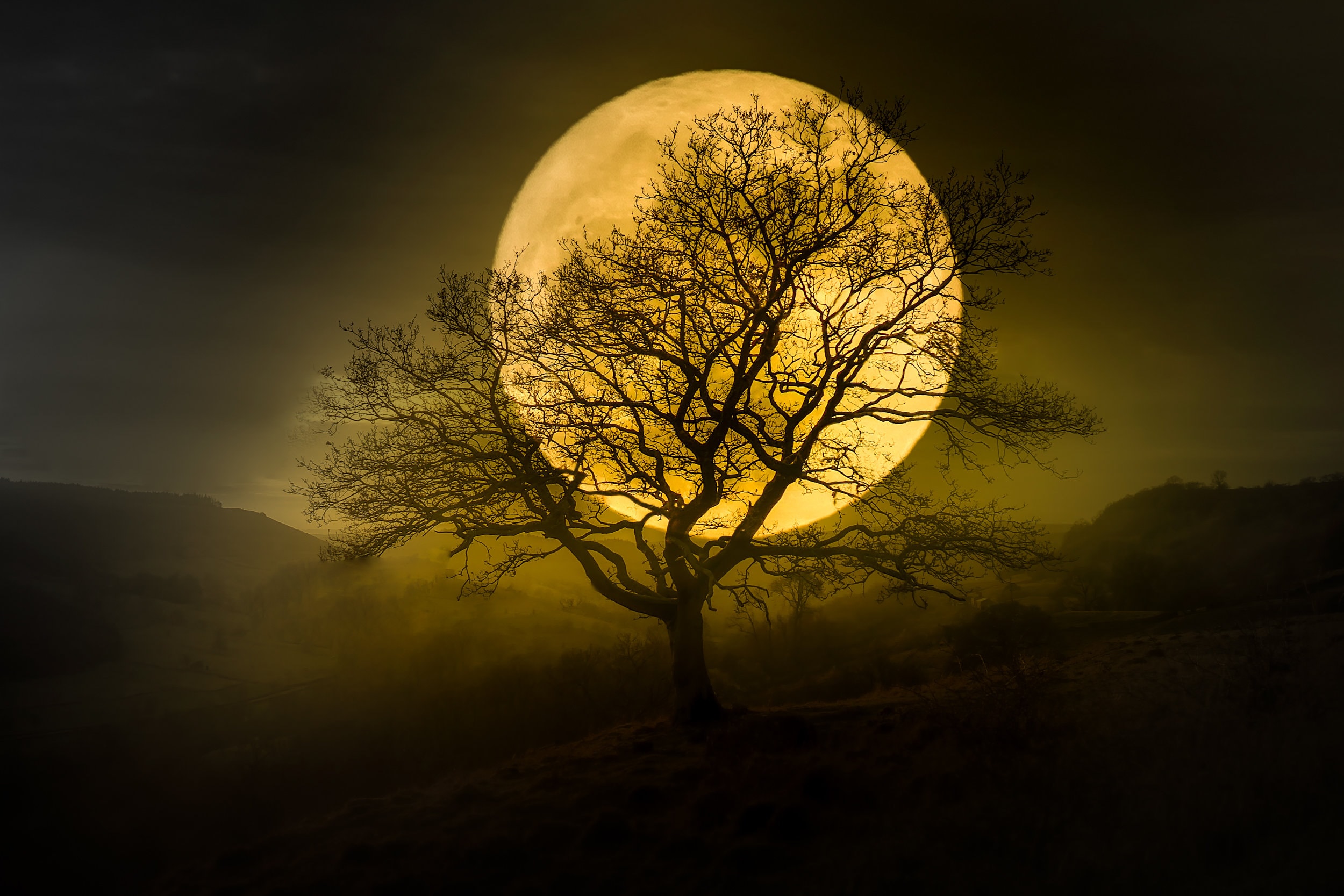 Harvest Moon II ~ Stunning Full Moon Photo, Dramatic