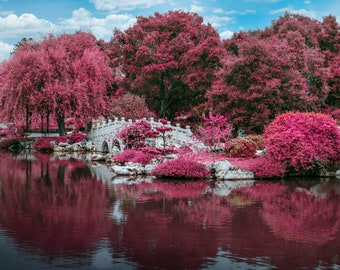 Jardin zen II ~ Superbe photo de jardins chinois à Huntington, impression de qualité Nat Geo, art mural maison ou bureau, Photos Harv Greenberg