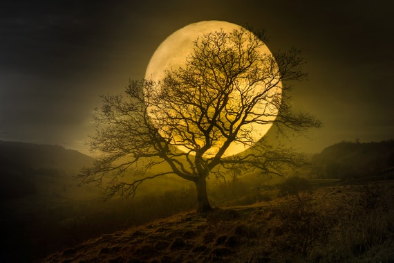 Harvest Moon Photography Minneapolis
