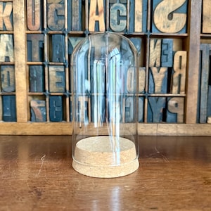 May include: A clear glass cloche with a cork base. The cloche is cylindrical with a rounded top. The background features a wooden printer's tray filled with vintage letterpress blocks.