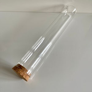 Large glass dome cloche display case with cork base