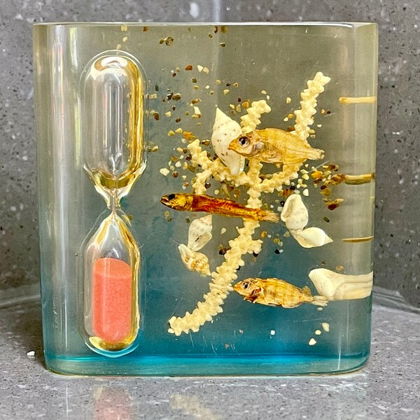 Vintage lucite egg timer. Aquarium scene with shells