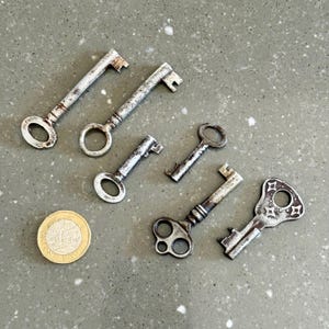 Könnte beinhalten: Eine Sammlung von sechs Schlüsseln im antiken Stil in verschiedenen Größen und Designs mit einem verwitterten, metallischen Finish. Neben den Schlüsseln liegt eine Goldmünze. Die Schlüssel haben verzierte Details und liegen auf einer grauen Oberfläche.