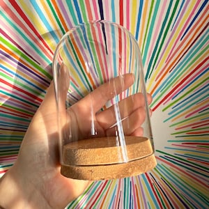 May include: A clear glass cloche with a cork base. The dome-shaped cover sits atop a round, light brown cork base. The cloche is held in a hand against a colourful background with rainbow stripes.