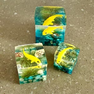 Handmade miniature fish tank. Choose your size