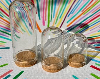 Small glass dome display case. Choose your size