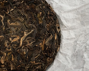 Single Tree Sheng Puerh - 2022 - Rare loose leaf tea from Thailand - Organic young raw pu-erh cake, pressed fermented tea