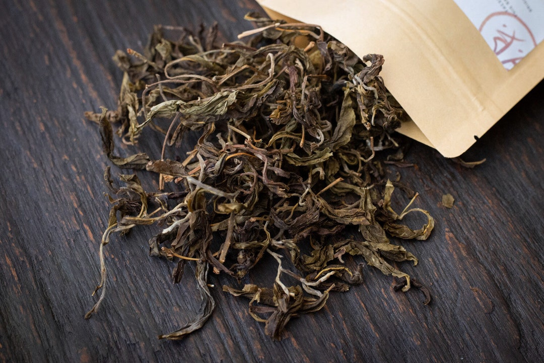 Sheng Maocha 2023 — Camellia Crassiculumna