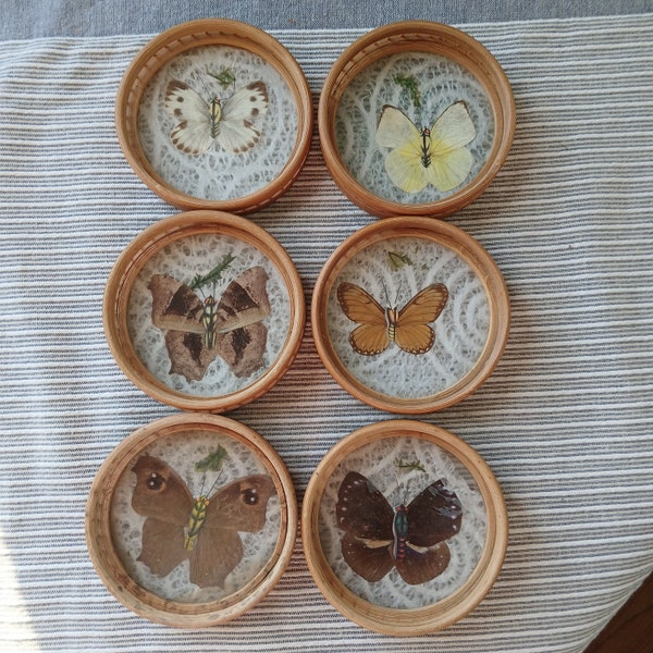 Pressed butterfly coasters/art bamboo vintage