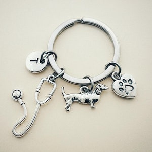 Vet Gifts, Vet Keychain, Vet Keyring, Veterinary Gifts, Veterinary Surgeon, Vet Nurse, Dog, Vet Technician, Veterinary, Vet Tech, Pet