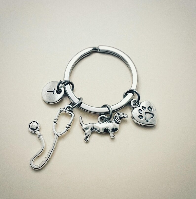 Key Chain Veterinary Vet Gifts, Vet Keychain, Vet Keyring, Veterinary Gifts, Veterinary ...
