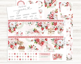 July Monthly Planner Sticker Kit Vertical Planner Use for Any Month 7x9 ...