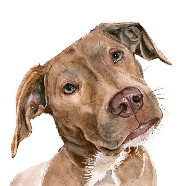 Custom Dog Portrait Watercolor Hand Painted from Photo