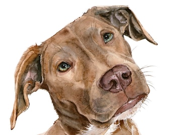 May include: A watercolour painting of a brown pit bull dog with a white patch on its chest. The dog has light green eyes, a dark brown nose, and floppy ears. The head is tilted to the side, and the painting features visible brush strokes.