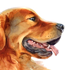 May include: A watercolor painting of a golden retriever dog shown in profile. The dog has golden-brown fur, a dark nose, and an open mouth with a visible pink tongue. The artwork features fluid brushstrokes and varied shades of amber and tan.