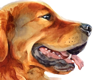 Op de afbeelding: Waterverfschilderij van een Golden Retriever-hond in profiel. De hond heeft een lichtbruine en bruine vacht, met zijn bek open en tong eruit. Het kunstwerk is tegen een witte achtergrond geplaatst.