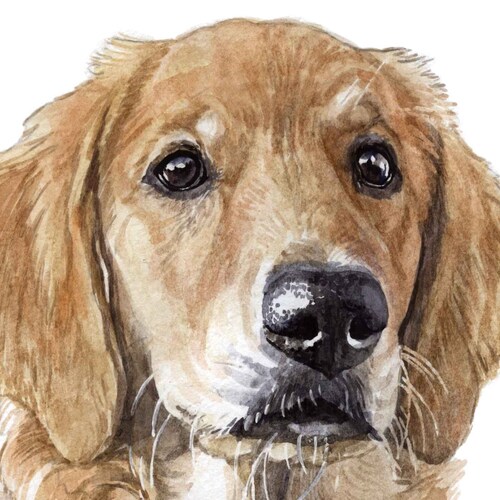 Pet Portrait Custom Dog Portrait Watercolor Hand Painted From - Etsy