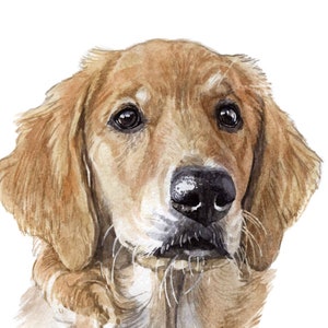 Custom Dog Portrait Watercolor Hand painted from your Own Photo
