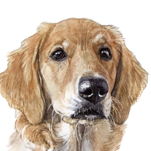 Pet Portrait Custom Dog Portrait Watercolor Hand painted from your Own Photo Pet Portrait Painting Pet Memorial Original Dog Painting