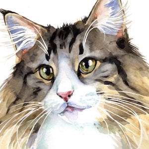 Cat Portrait Custom Cat Portrait Watercolor Hand Painted from Photo Custom Pet Portrait Art Cat Memorial Original Painting of your Cat