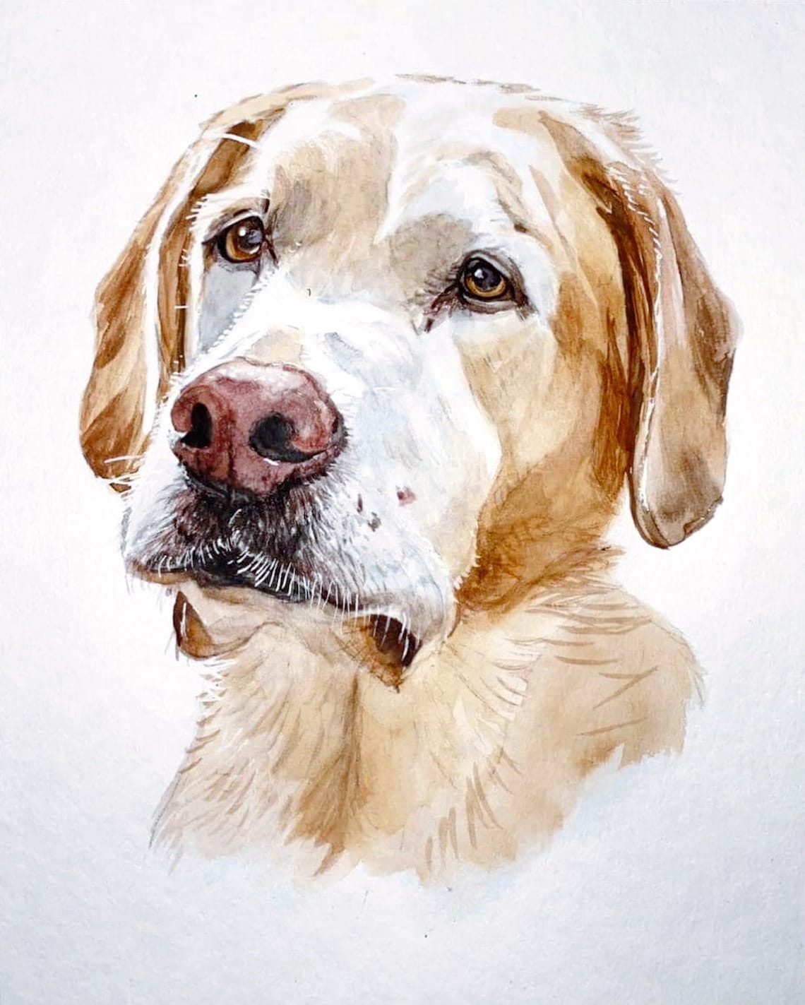 Custom Dog Portrait Watercolor Hand Painted From Photo Custom - Etsy