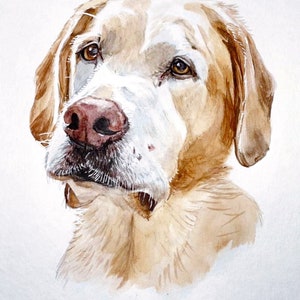 Custom Dog Portrait Watercolor Hand Painted From Photo Custom Dog ...