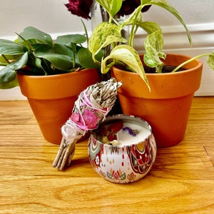PWP Plant Box
