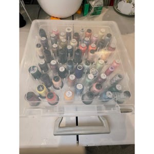Robison Anton Embroidery Thread Lot 54 Assorted Colors w Storage Case
