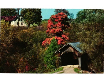 Vintage Stowe Hollow Covered Bridge Postcard Vermont Fall Trees Foliage