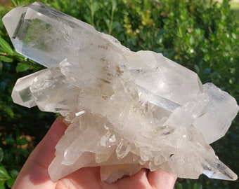 Clear Quartz Cluster - 1.11 lb