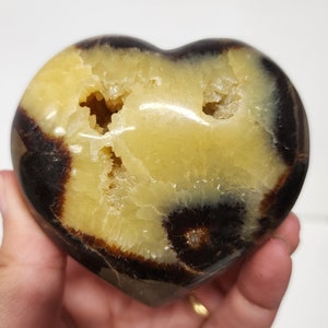 Poliertes Septarisches Knötchen-Herz - 0.73lb