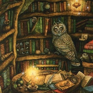 May include: A detailed illustration of a cosy bookstore interior. An owl perches among bookshelves filled with books. A round table with books, a candle, and a quill sits in the centre. The text "Lorekeeper's Bookshop" is at the bottom.