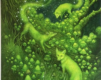 Foxfire - print from the "Forest of Enchantment Oracle"