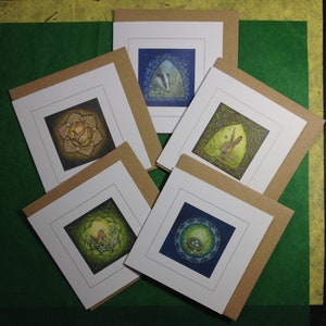 Faune sauvage illuminée - lot de 5 cartes de voeux.