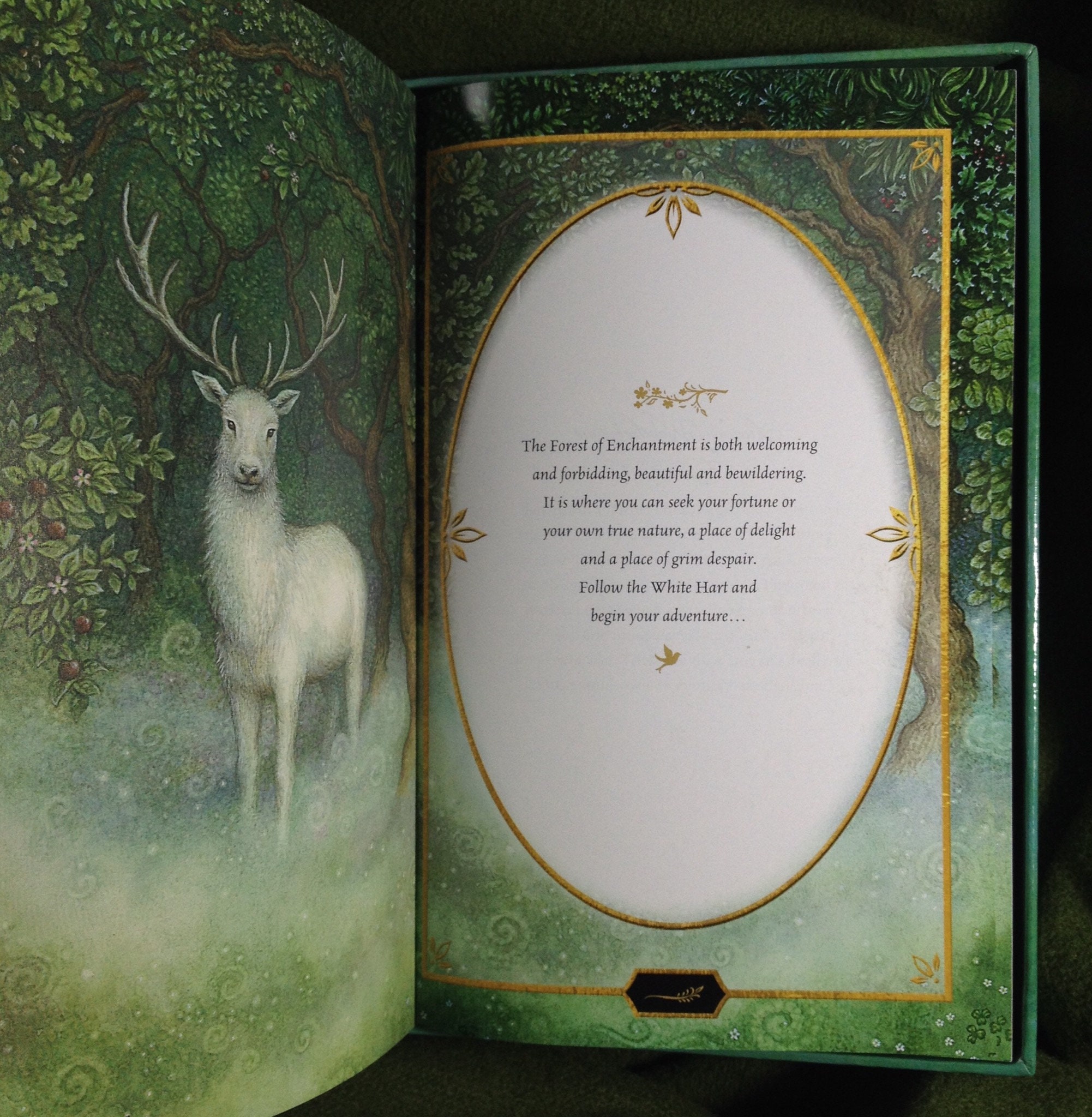 Tara Books The Antler Tree from japan | eBay