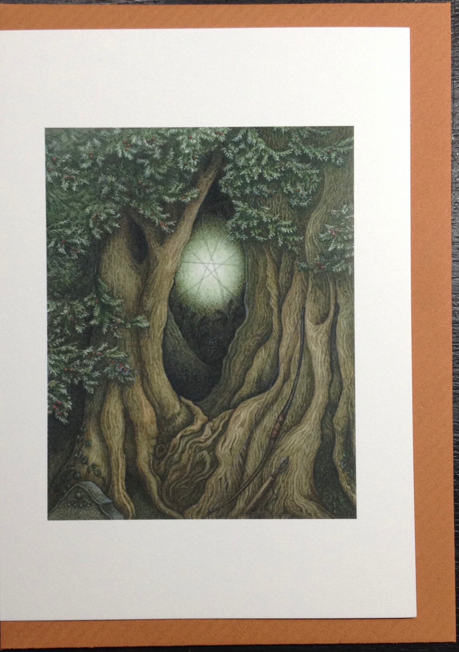 Taxus