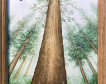 Original Painting of "Coast Redwood"
