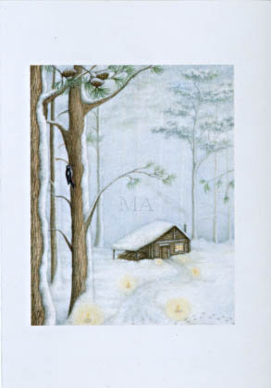Scots Pine - Greetings Card - Etsy UK
