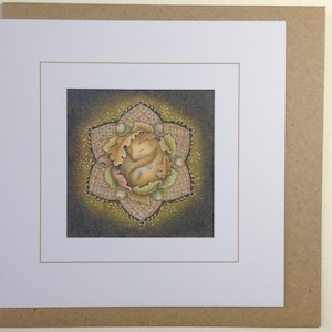 May include: A brown and white squirrel curled up in a nest of leaves and acorns, surrounded by a decorative mandala pattern in shades of gold, red, and green.