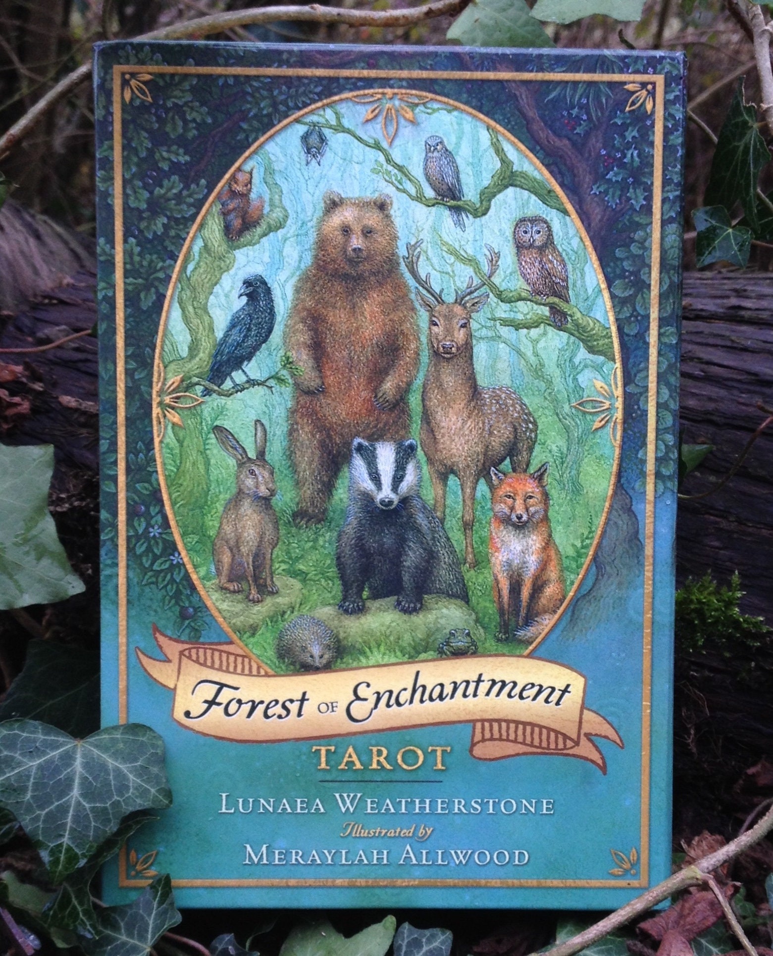洋書 The Forest of Enchantments Amazon.com: The Forest of Enchantments (Audible Audio Edition