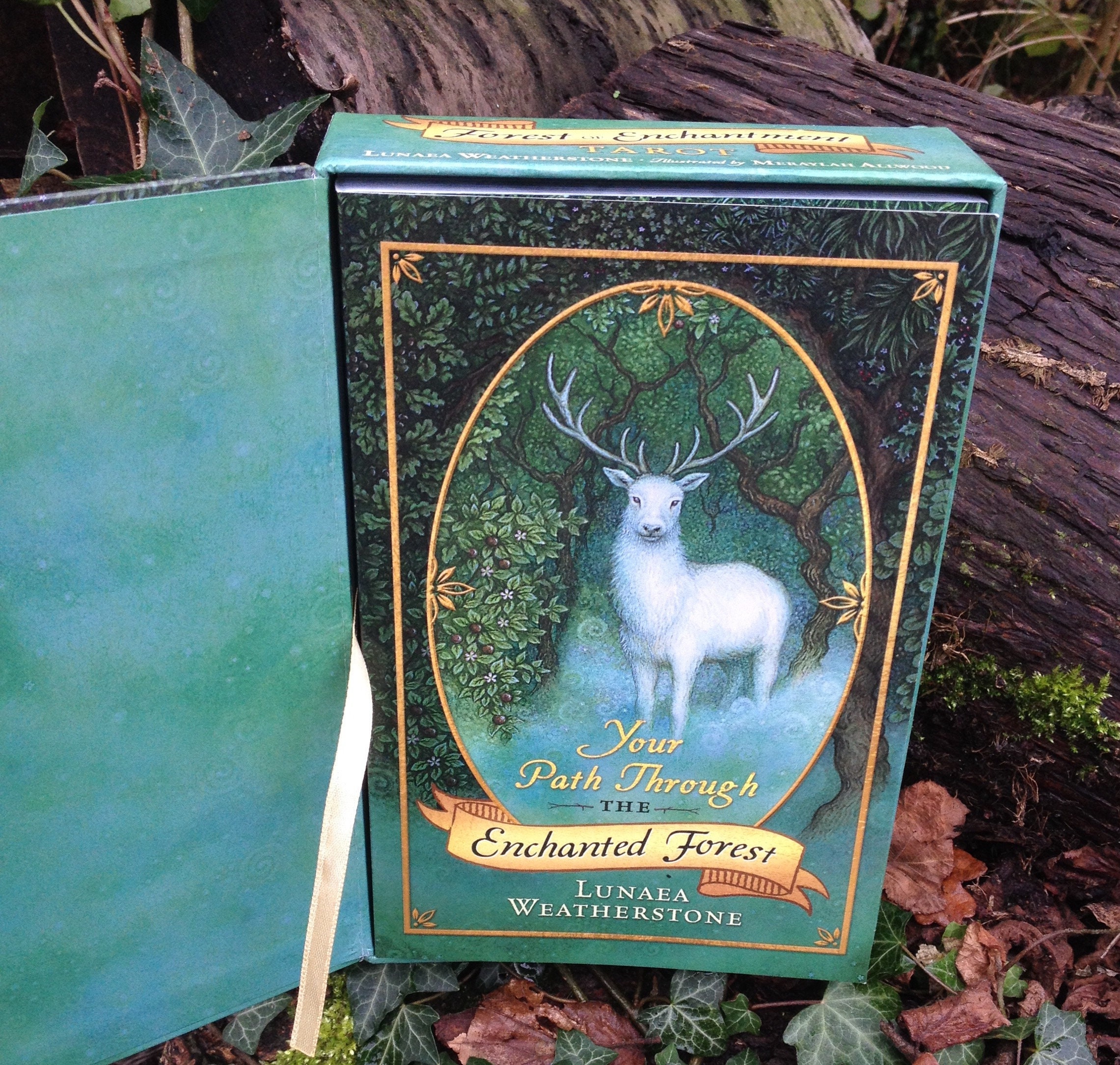 Tara Books The Antler Tree from japan | eBay
