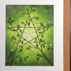 May include: A watercolour painting of a five-pointed star formed by intertwining branches of a flowering plant with white blossoms. The background is a gradient of green.